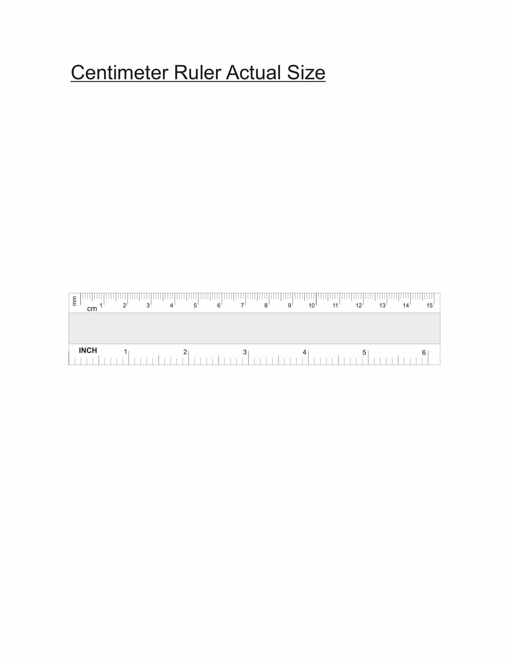 12 inch ruler printable actual size