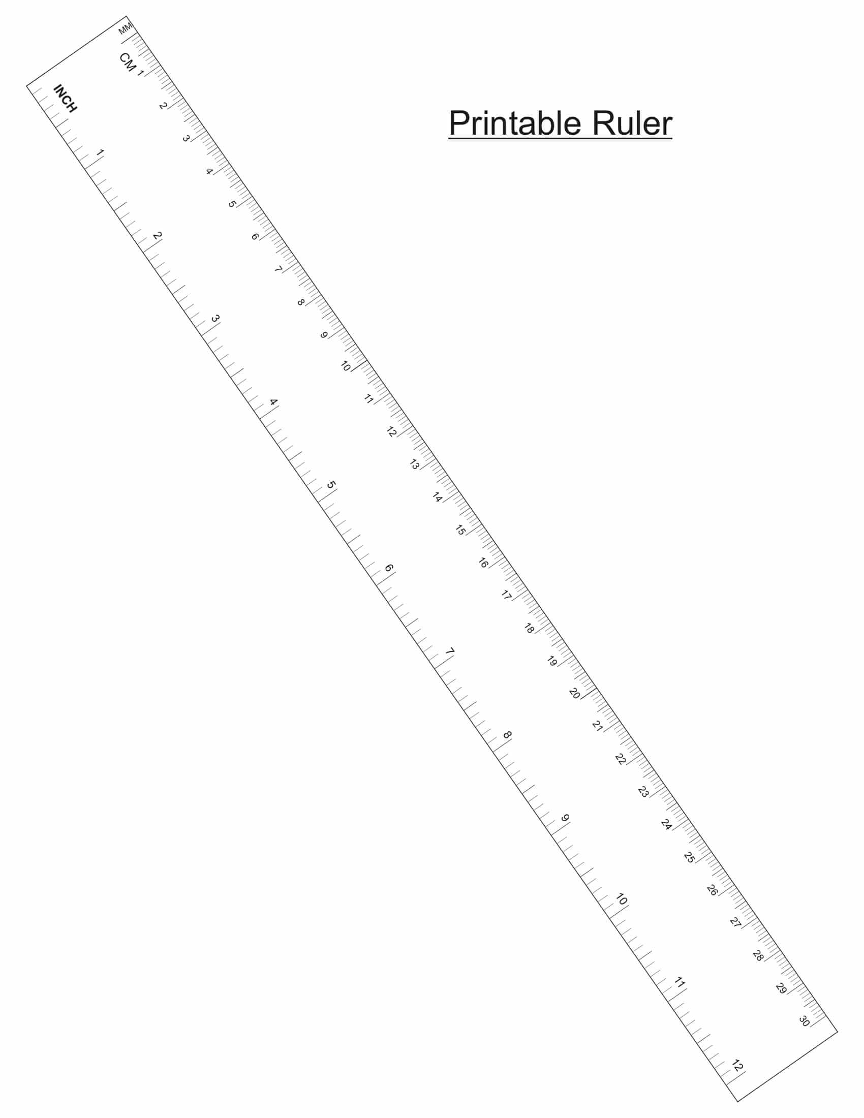 12-inch by 1/4 inch Ruler - Printable Ruler