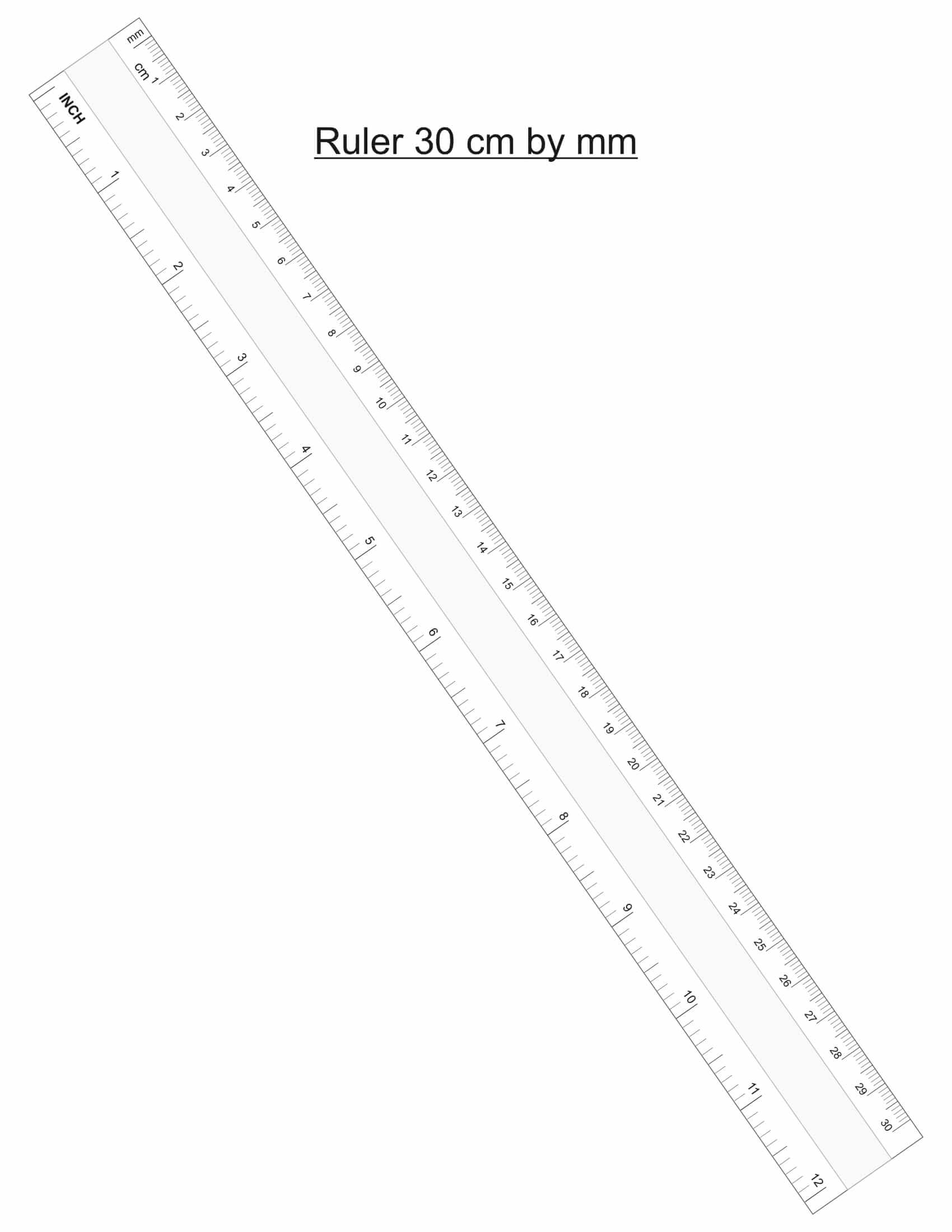 Printable Paper Rulers Inches and Centimeter, Color and Black